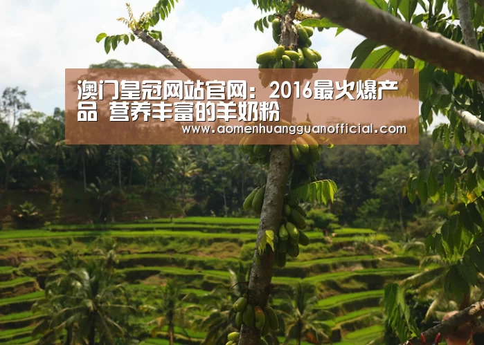 澳门皇冠网站官网