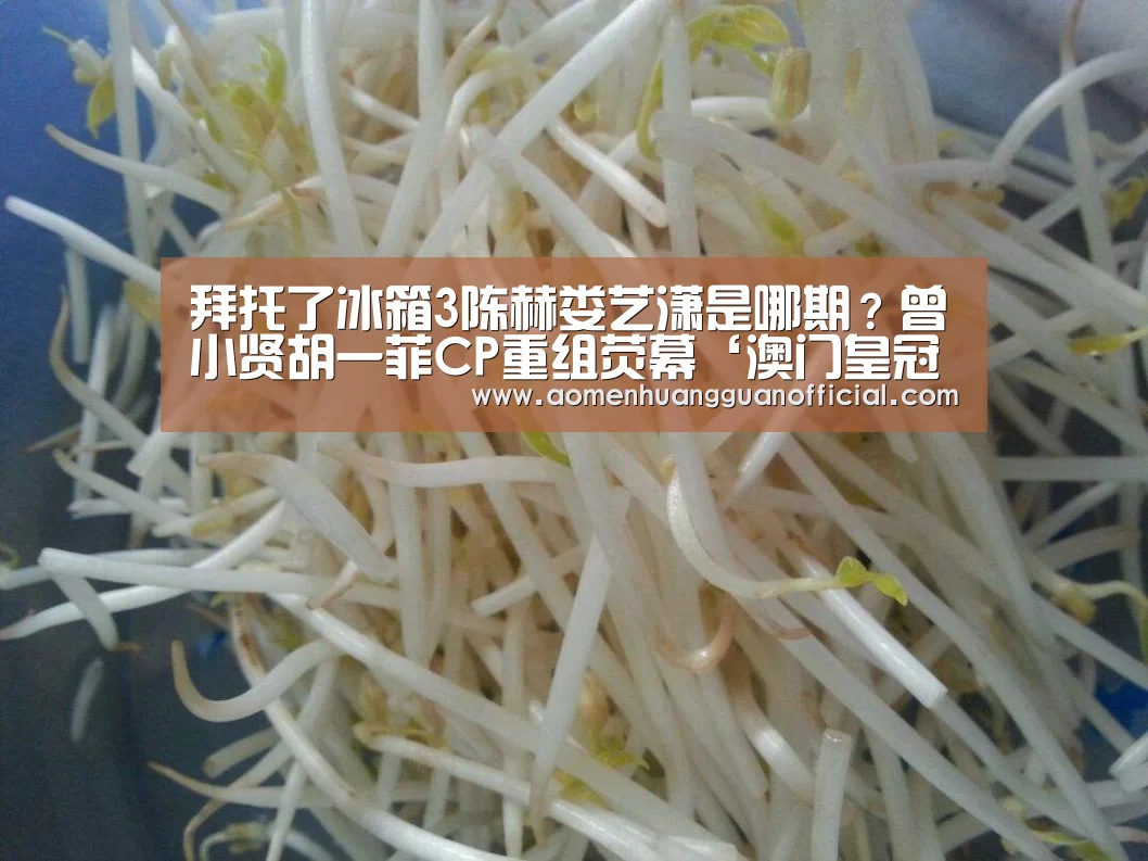 拜托了冰箱3陈赫娄艺潇是哪期?曾小贤胡一菲CP重组荧幕‘澳门皇冠网站官网’(图1) 澳门皇冠网站