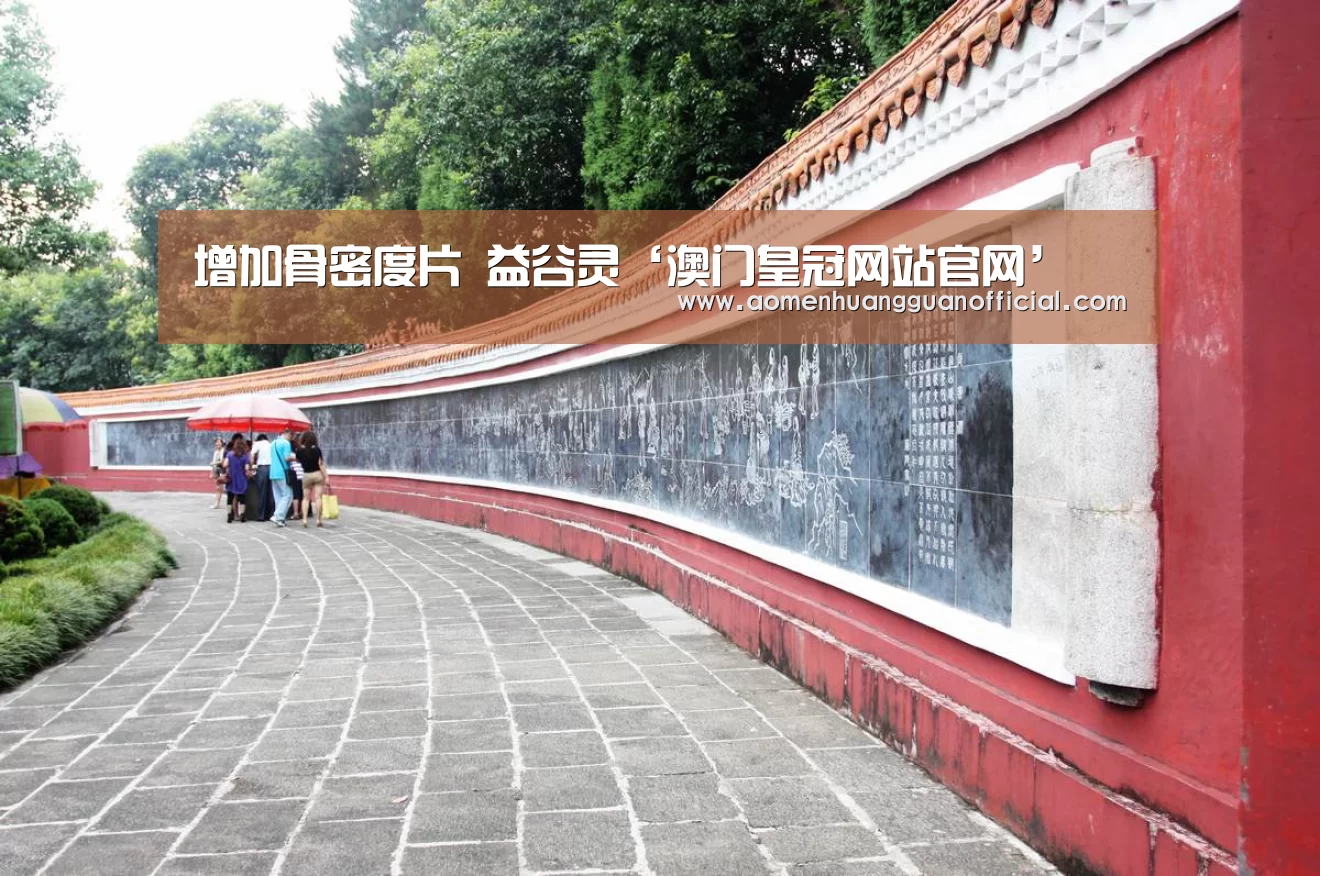 增加骨密度片 益谷灵‘澳门皇冠网站官网’(图2)