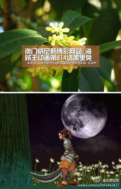 澳门威尼斯博彩网站