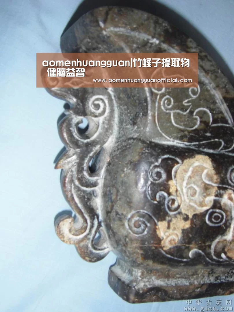 aomenhuangguan|竹蛏子提取物 健脑益智(图1)